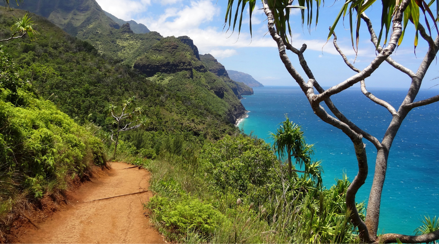 Construction worker injury treatment Kauai